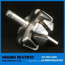 Customized NdFeB Motor Magnet